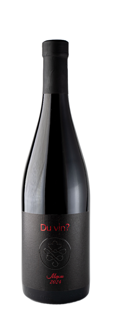Вино МЕРЛО Du Vin? 2024 13,0% красное сухое 0,75л