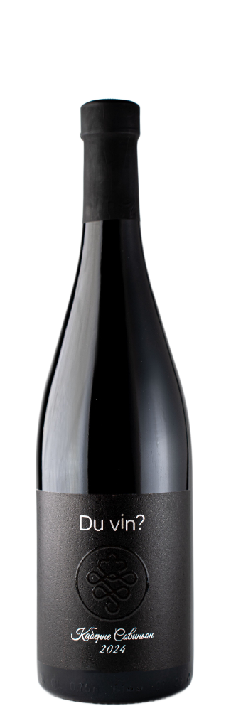 Вино КАБЕРНЕ СОВИНЬОН Du Vin? 2024 13,0% красное сухое 0,75л